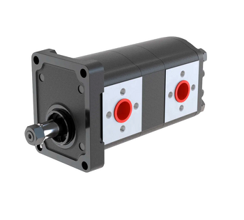 Blue Ascend Cast Iron Body Tandem Gear Pump, Group 20/20