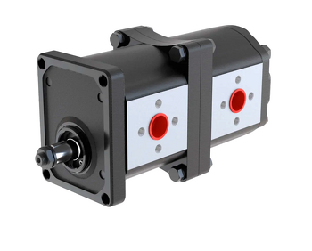 Blue Ascend Cast Iron Body Tandem Gear Pump, Group 30/30