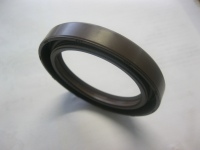 Twin Lip 2 Spring Seal